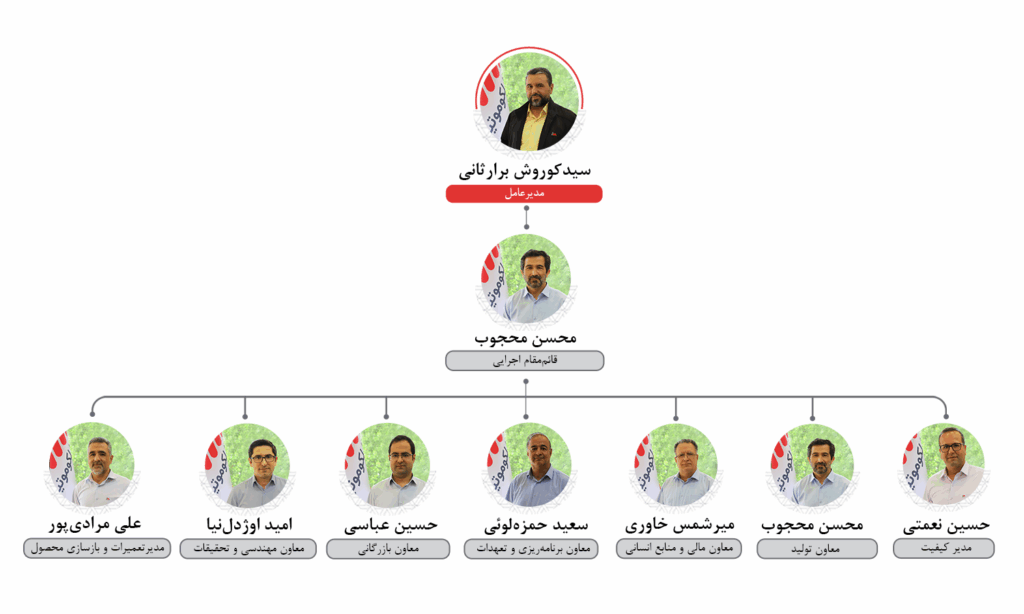 چارت سازمانی